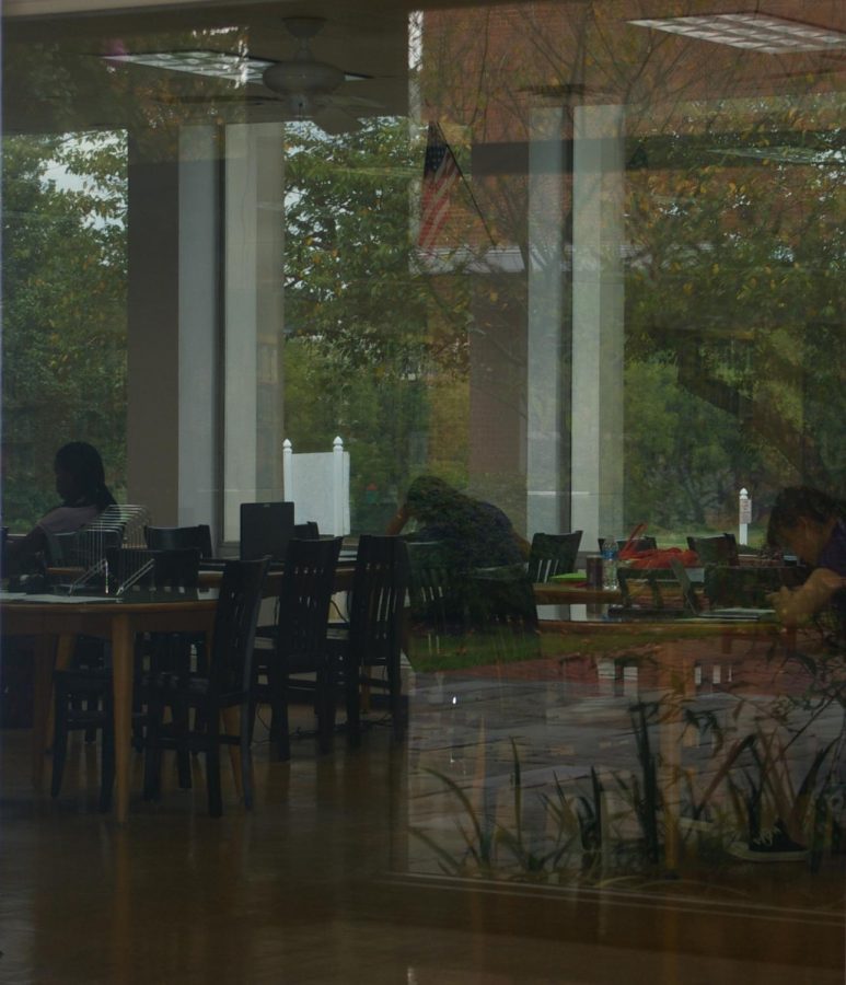 Students studying in the campus library.