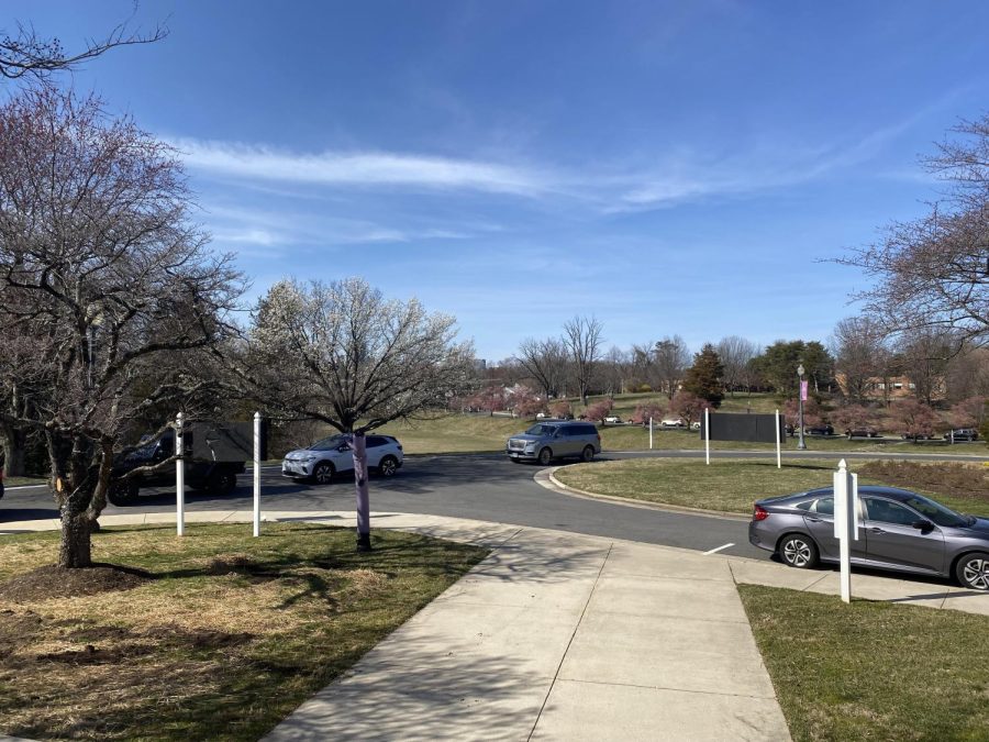 photo of the trees that line the driveway into the Academy